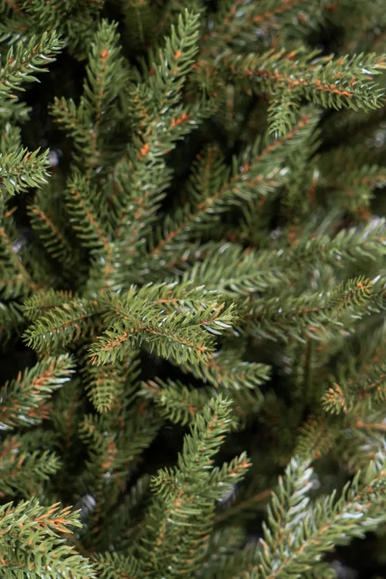 resized640_brad--artificial--cristal--green--240--cm--aspect--natural--seq-3.webpBrad Artificial Crystal Green 240 cm, Aspect Natural